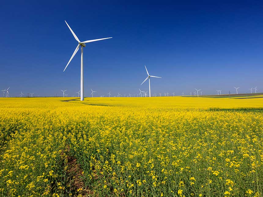 Bassa Austria, energie 
